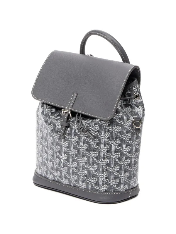 Goyard Alpin Backpack - “Grey”
