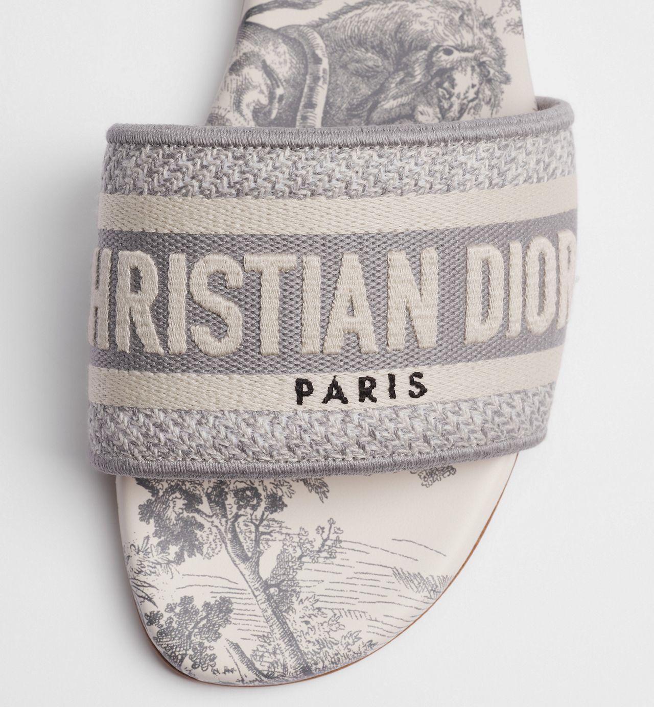 Dior Dway Slides