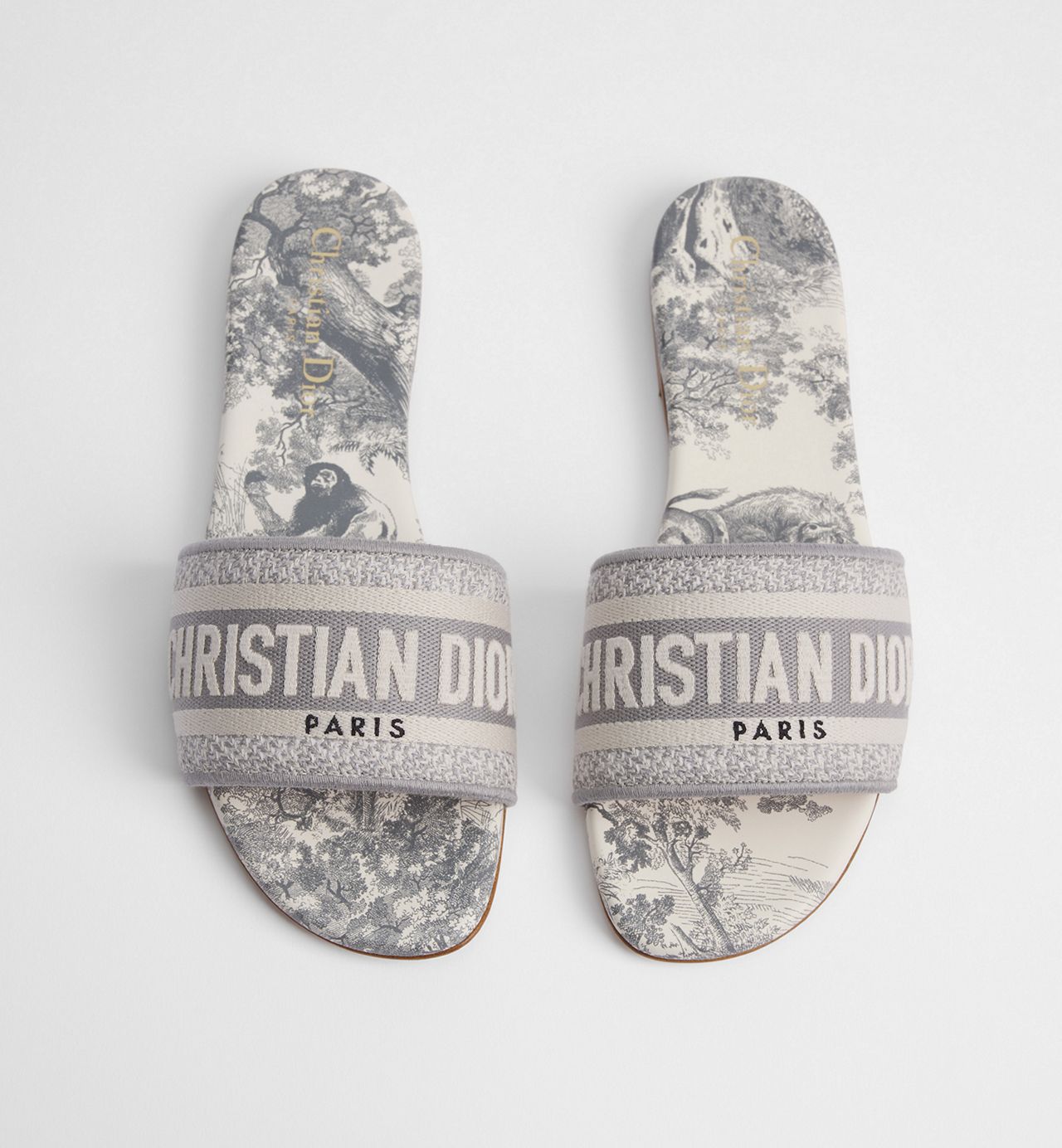Dior Dway Slides