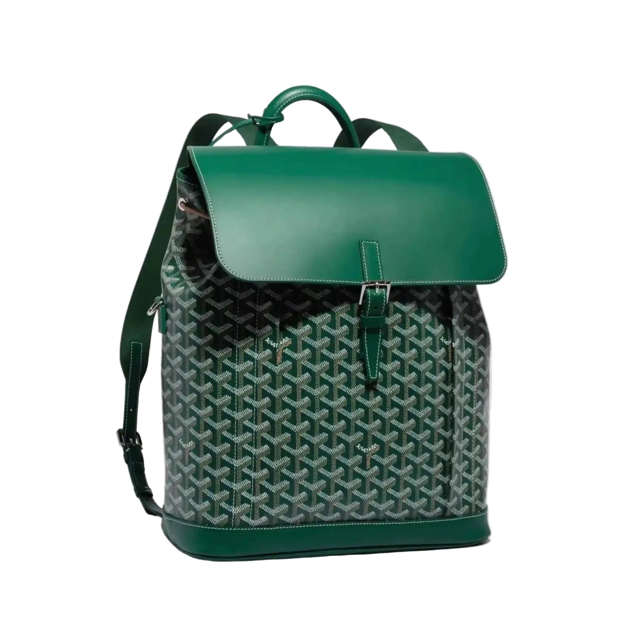 Goyard Alpin Backpack - “Green”